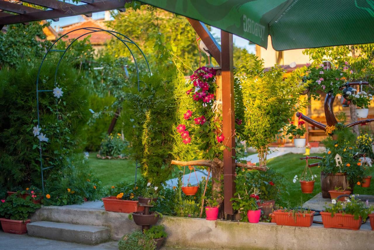 Guest House Vasilena Sapareva Banya Exterior photo